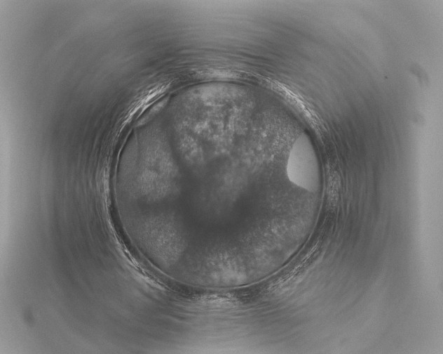 X0000116000386200912031513