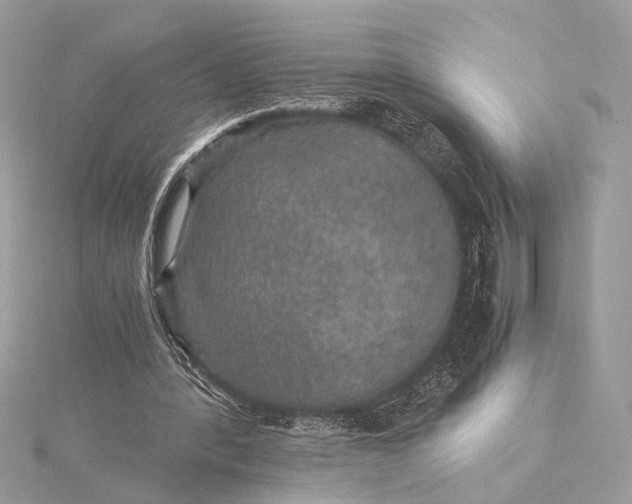 X0000116000388200912031513