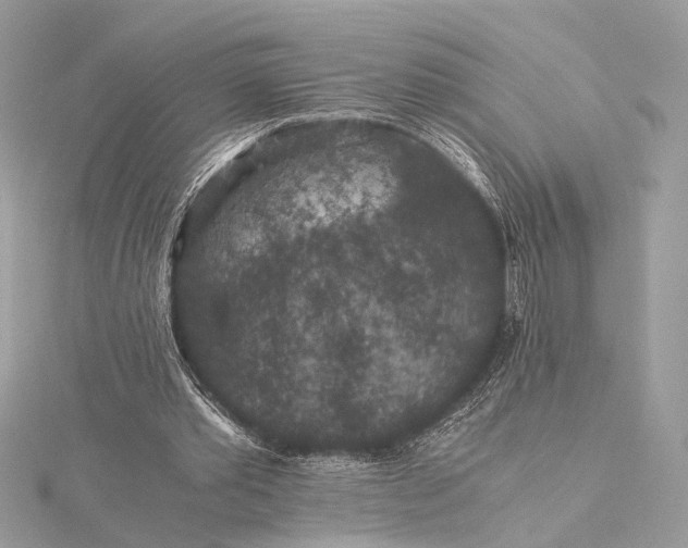 X0000116000389200912031513