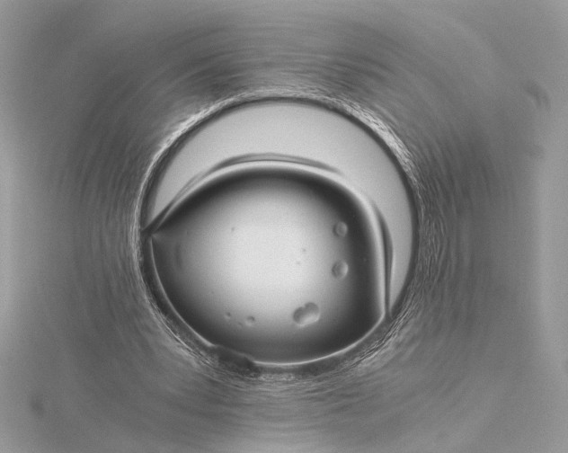 X0000116000391200912031513