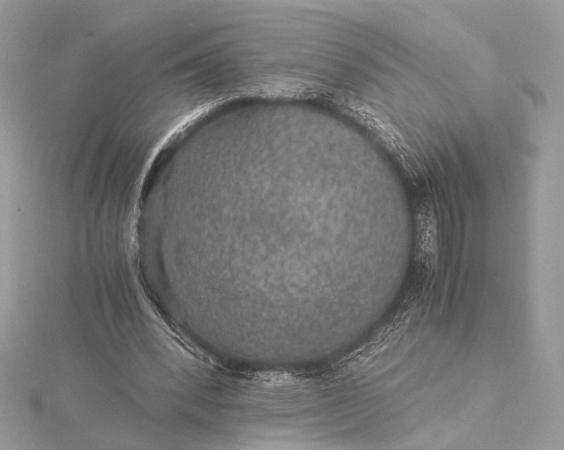 X0000116000392200912031513