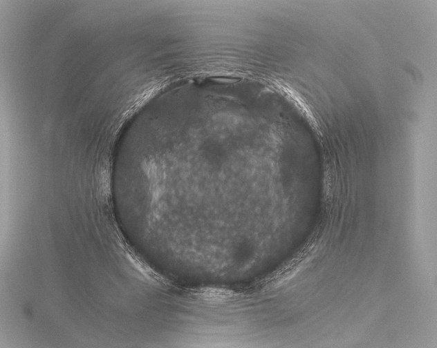 X0000116000393200912031513