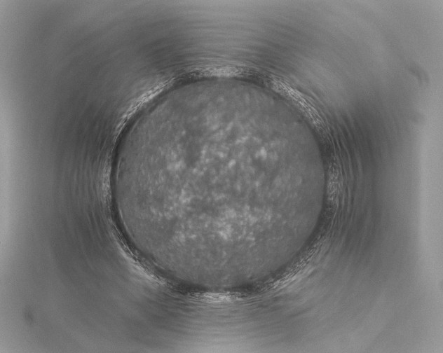 X0000116000394200912031513