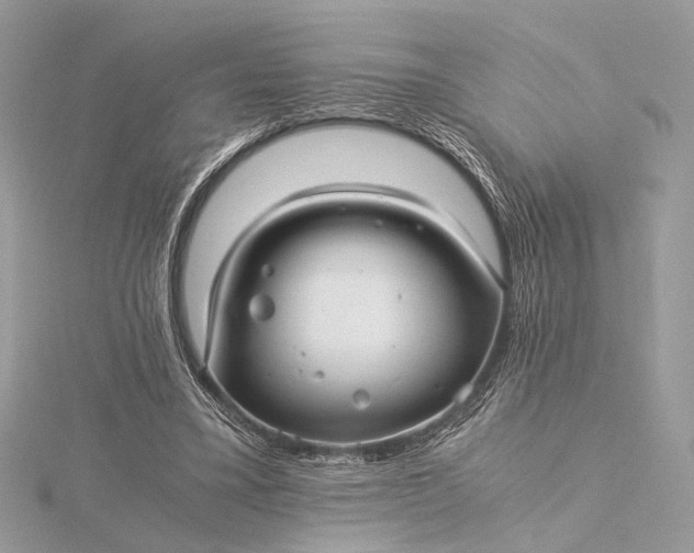 X0000116000395200912031513