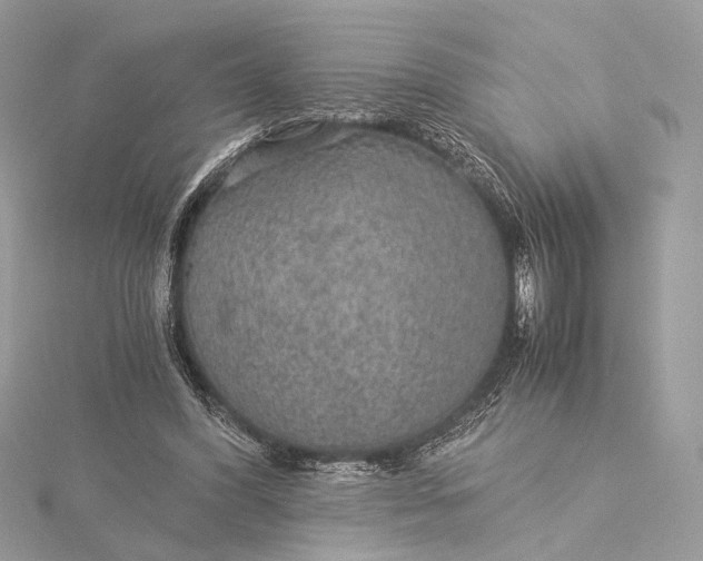 X0000116000396200912031513