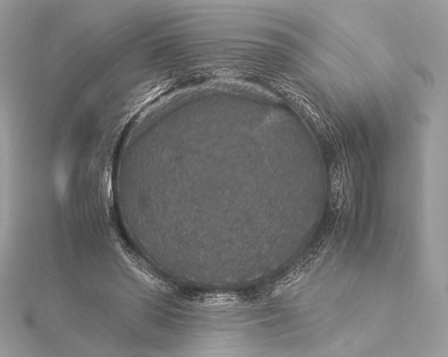 X0000116000398200912031513