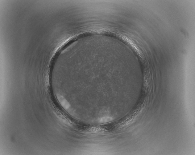 X0000116000399200912031513