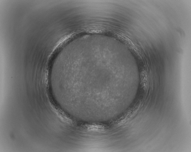 X0000116000400200912031513