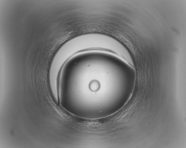 X0000116000401200912031513