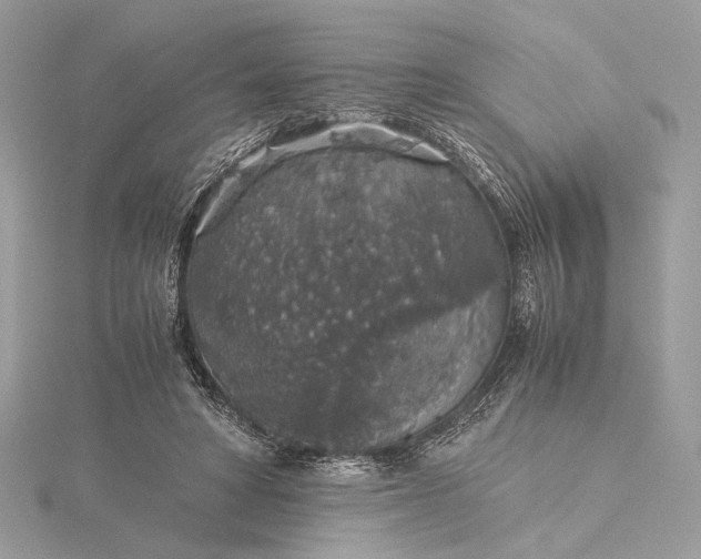 X0000116000402200912031513