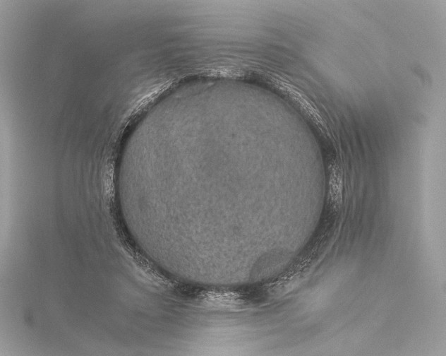 X0000116000403200912031513