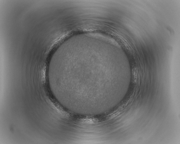 X0000116000404200912031513