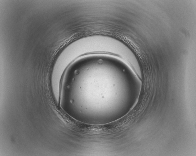 X0000116000405200912031513