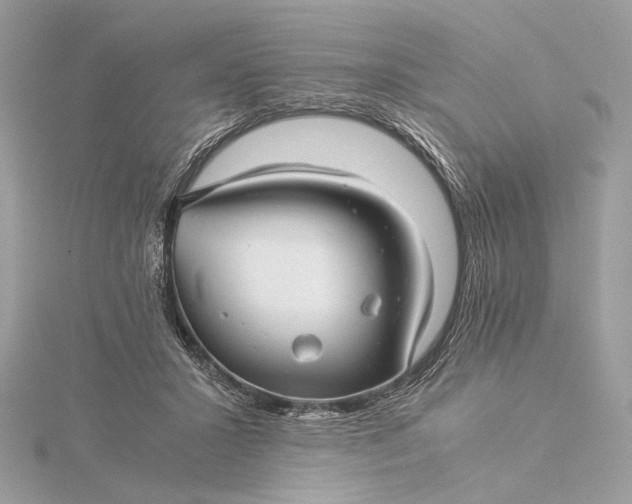 X0000116000407200912031513