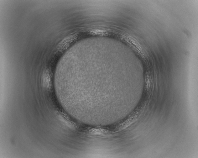 X0000116000408200912031513