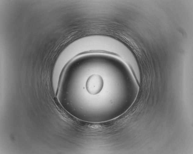 X0000116000409200912031513