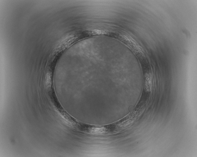 X0000116000410200912031513