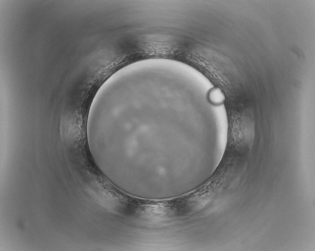 X0000116000411200912031513