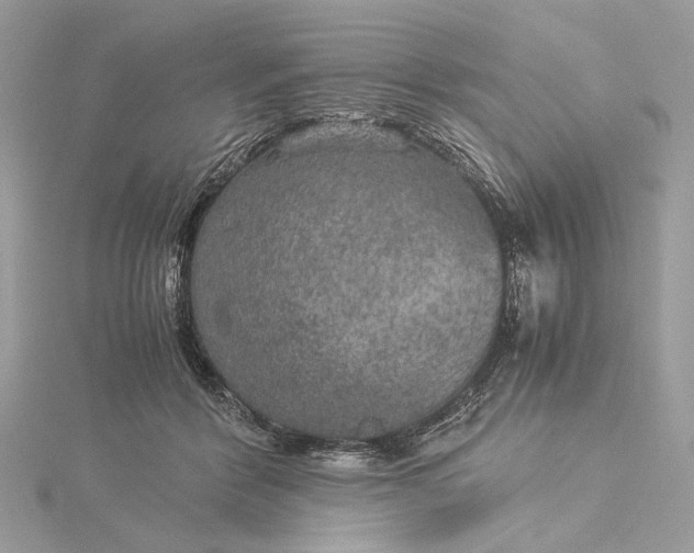 X0000116000412200912031513