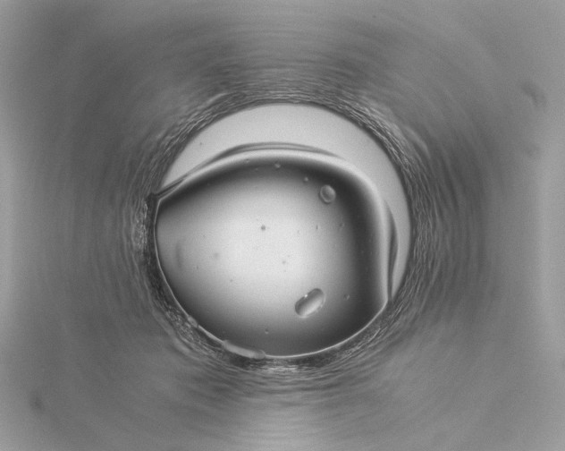 X0000116000413200912031513