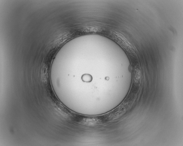 X0000116000414200912031513