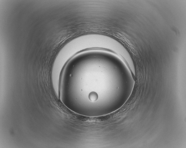 X0000116000415200912031513