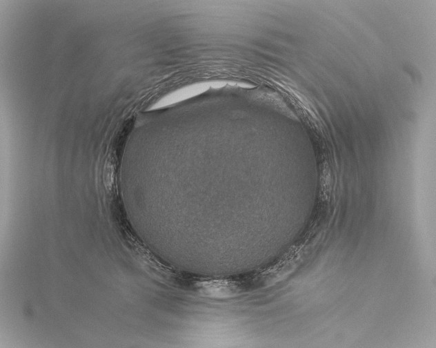 X0000116000417200912031513