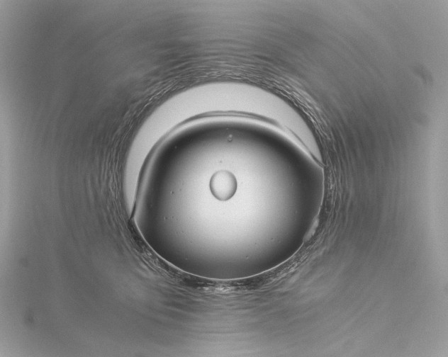 X0000116000419200912031513