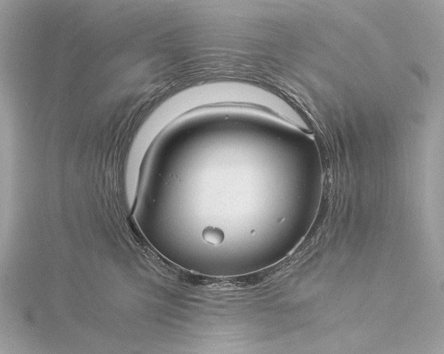 X0000116000423200912031513