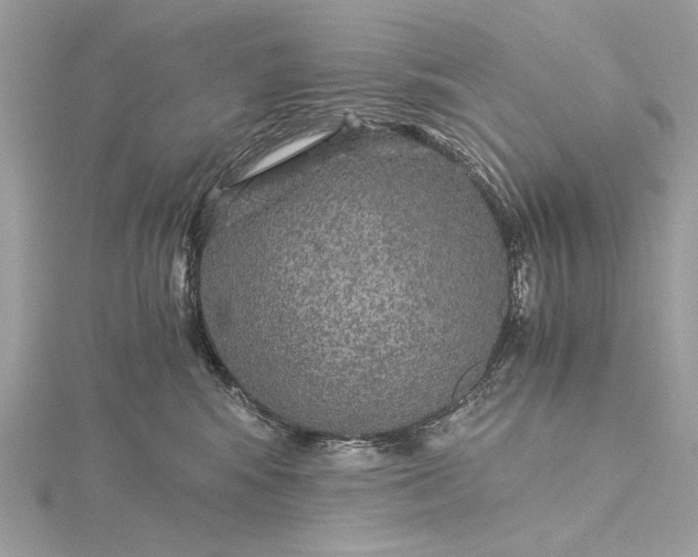 X0000116000424200912031513