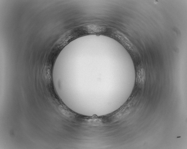 X0000116000426200912031513