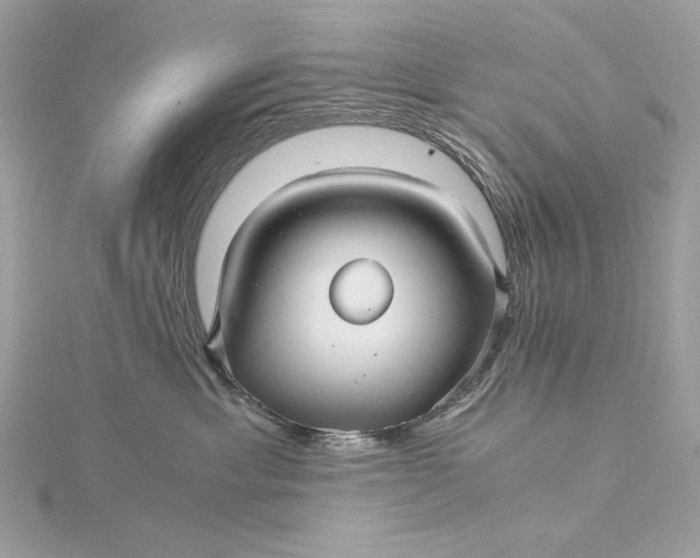 X0000116000429200912031513