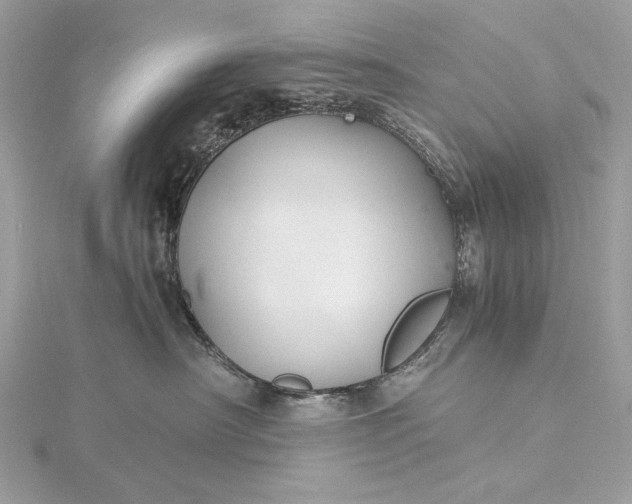 X0000116000430200912031513