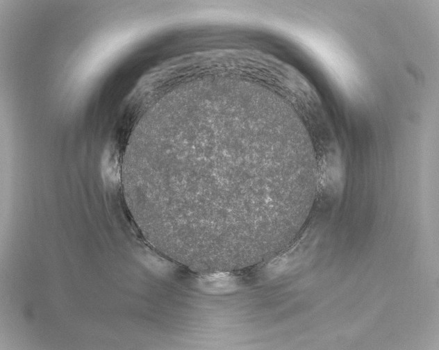 X0000116000431200912031513