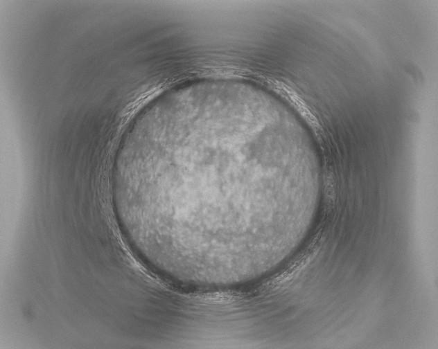 X0000116000433200912031512