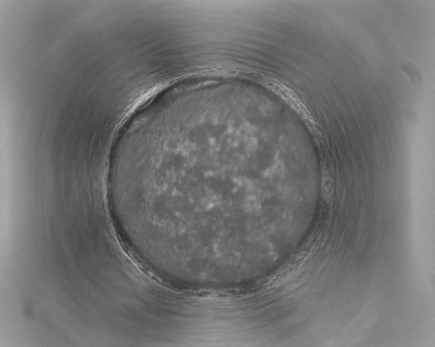 X0000116000434200912031512