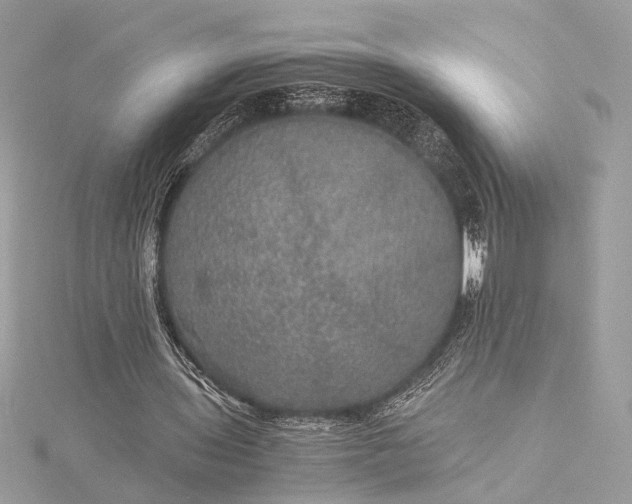 X0000116000435200912031512