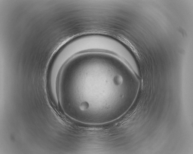 X0000116000436200912031512