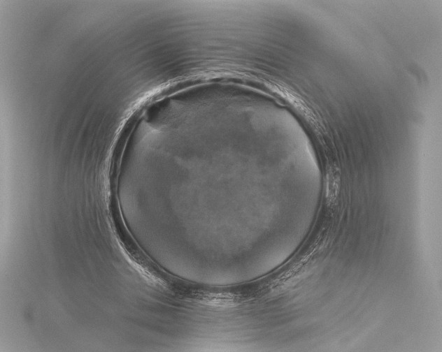 X0000116000438200912031512