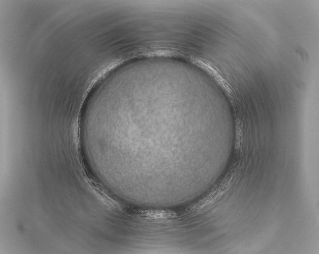 X0000116000439200912031512