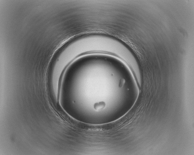 X0000116000440200912031512