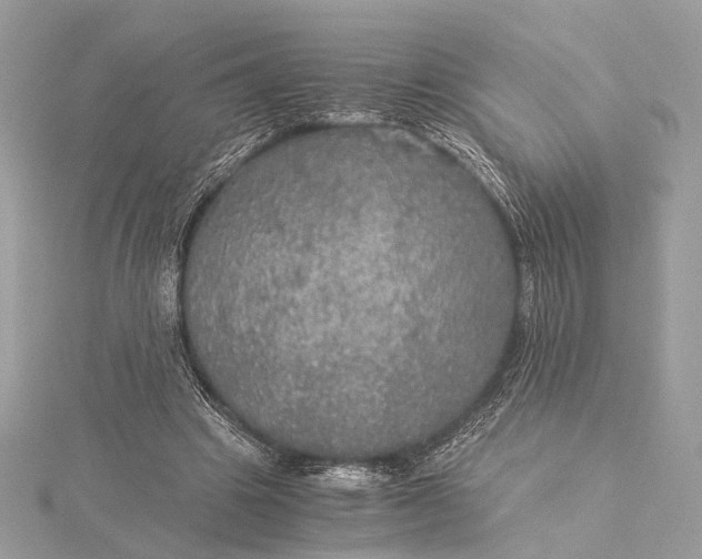 X0000116000441200912031512