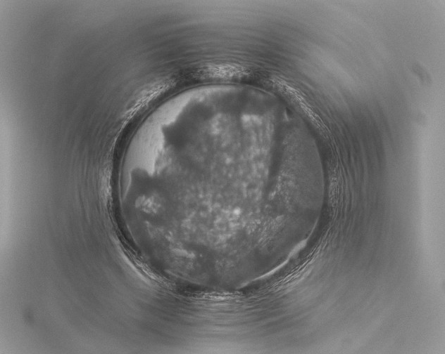 X0000116000443200912031512