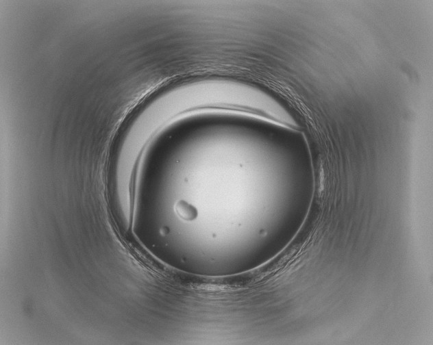 X0000116000444200912031512