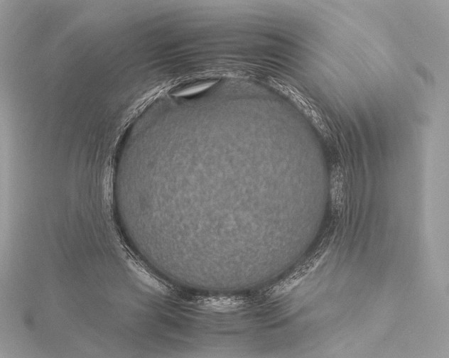 X0000116000445200912031512