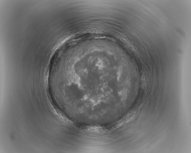 X0000116000446200912031512