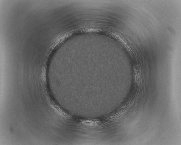 X0000116000447200912031512