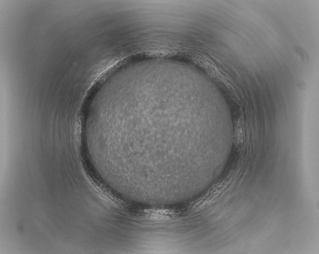 X0000116000448200912031512