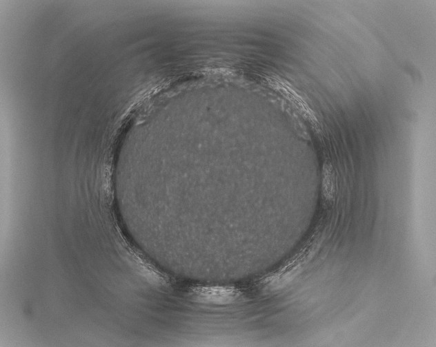 X0000116000449200912031512