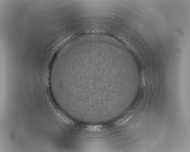 X0000116000450200912031512